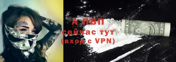 сатива Аксай